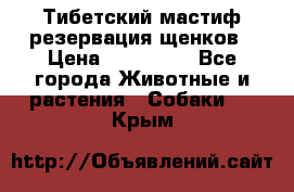 Тибетский мастиф резервация щенков › Цена ­ 100 000 - Все города Животные и растения » Собаки   . Крым